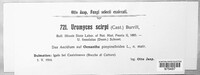 Image Associated With the Occurrence